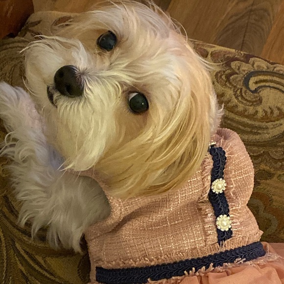 Meet your Posher, Cathy - Picture 3 of 4